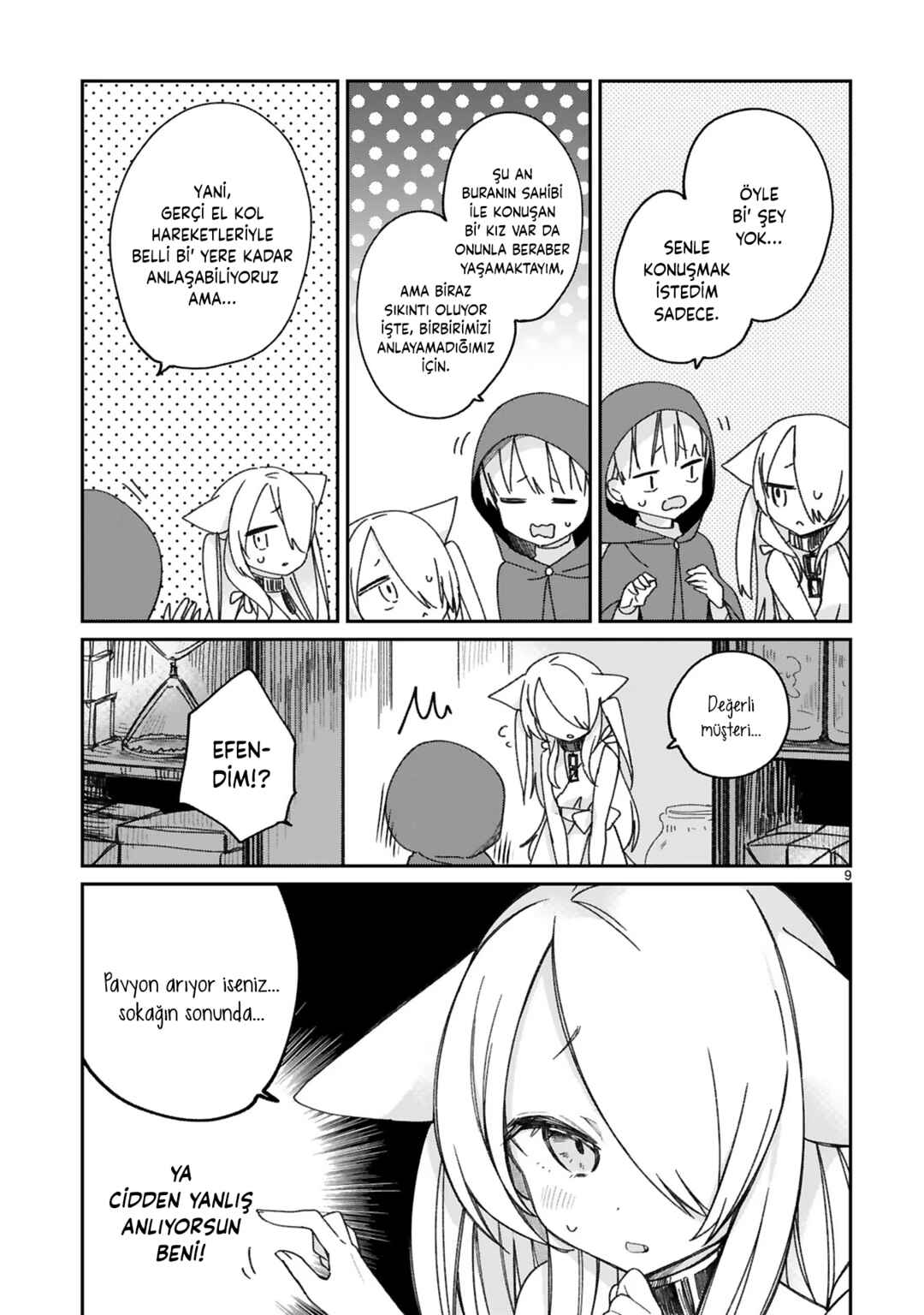 Maousama ni Shoukan Sareta kedo Kotoba ga Tsuujinai Chapter 16 - Page 10