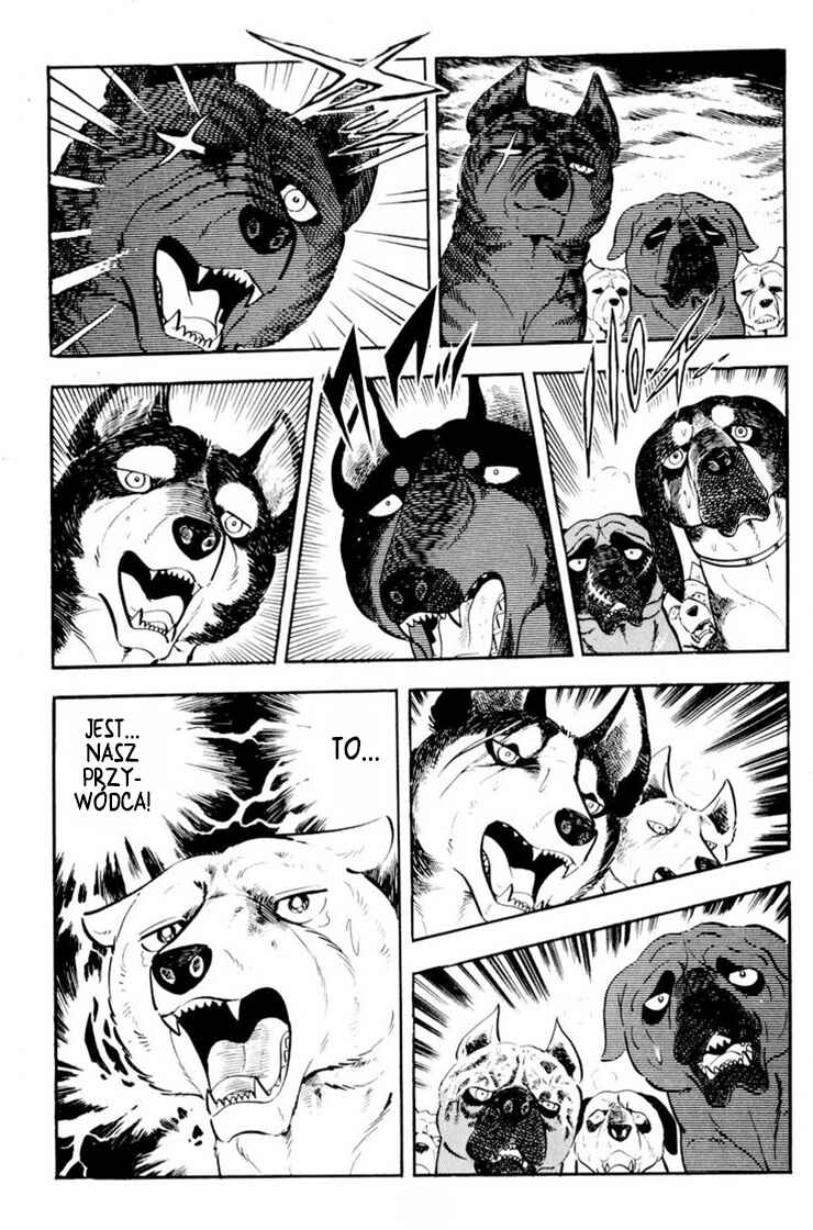 Silver Fang – The Shooting Star Gin – Chapter 36 - Page 13