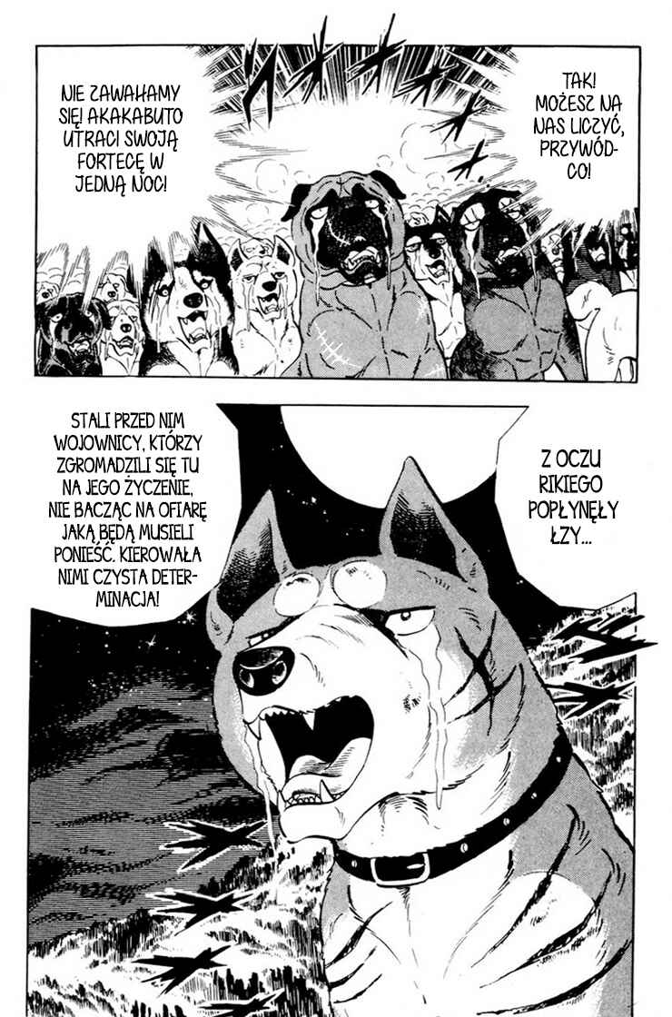 Silver Fang – The Shooting Star Gin – Chapter 36 - Page 17