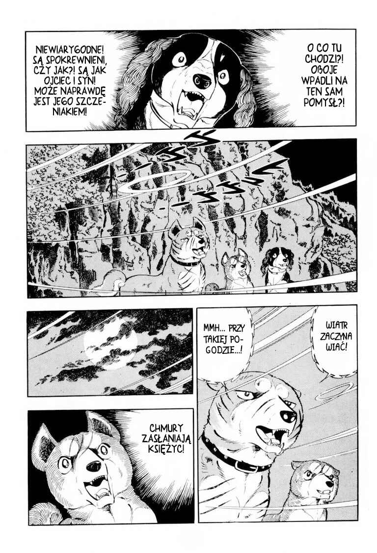 Silver Fang – The Shooting Star Gin – Chapter 36 - Page 32