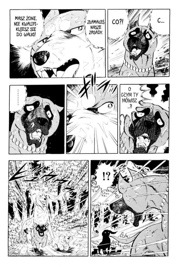 Silver Fang – The Shooting Star Gin – Chapter 36 - Page 66