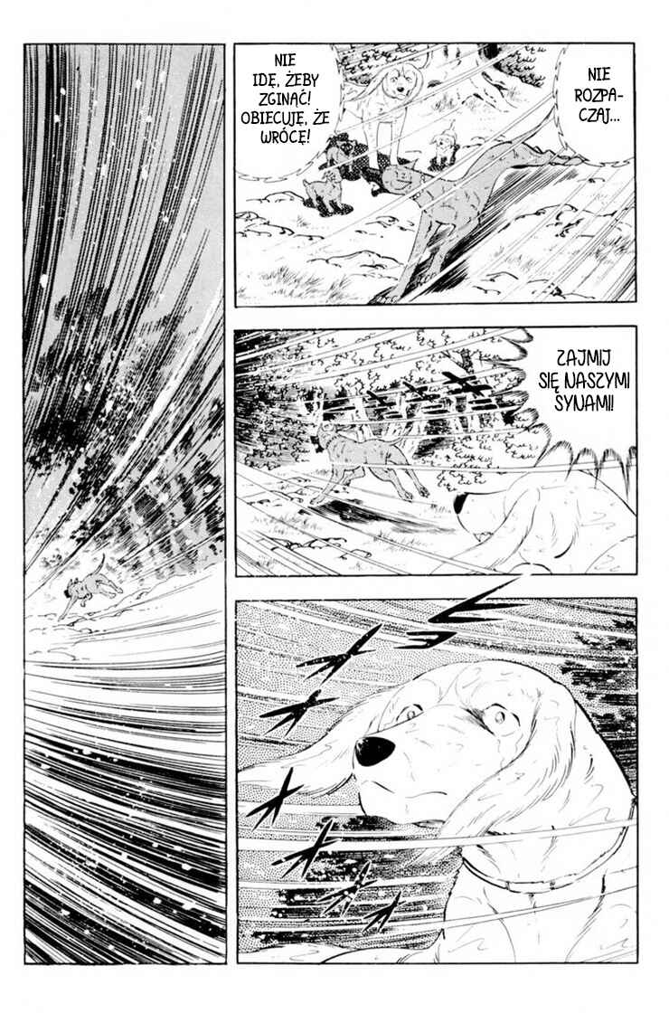 Silver Fang – The Shooting Star Gin – Chapter 36 - Page 79