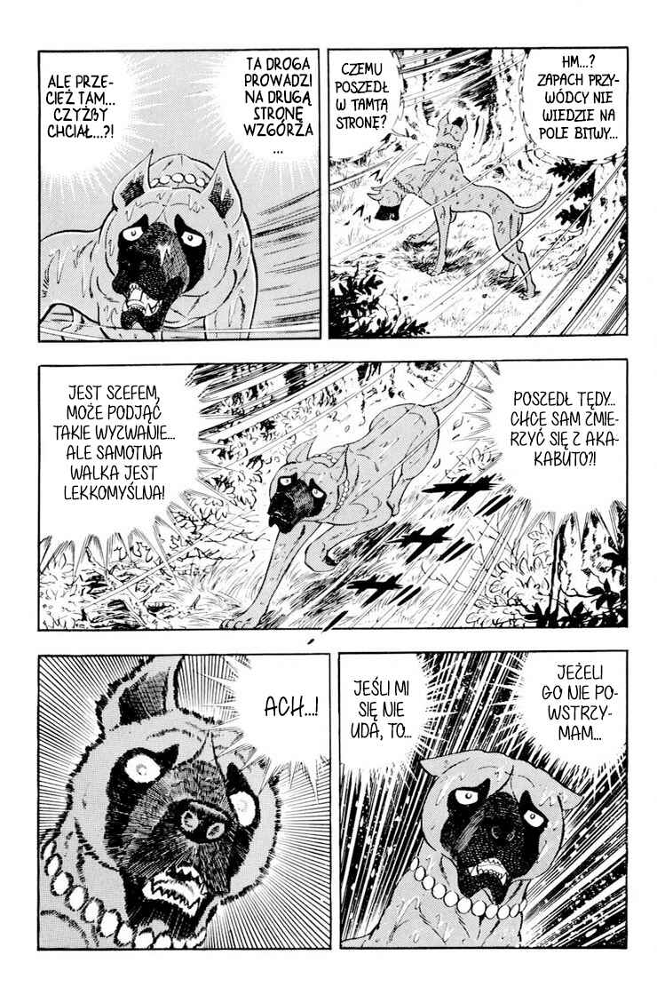 Silver Fang – The Shooting Star Gin – Chapter 36 - Page 80