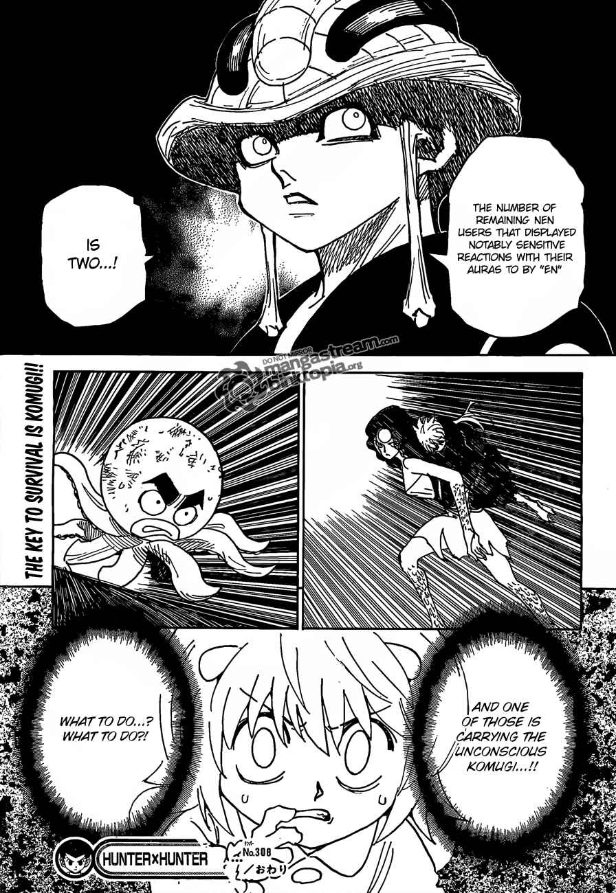 Hunter x Hunter Chapter 308 - Page 18
