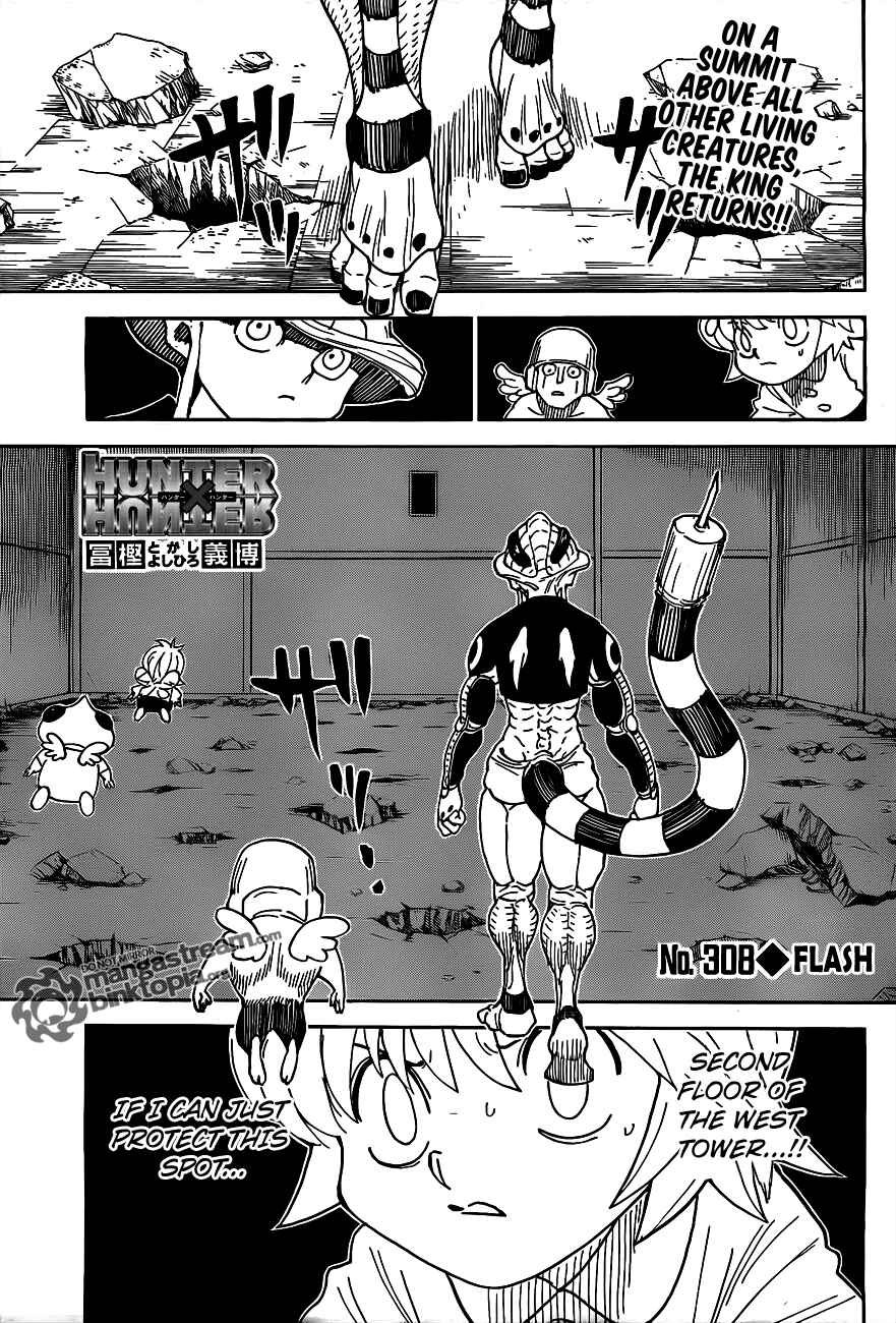 Hunter x Hunter Chapter 308 - Page 2