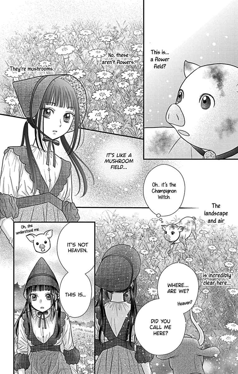 Champignon no Majo Chapter 8.5 - Page 14