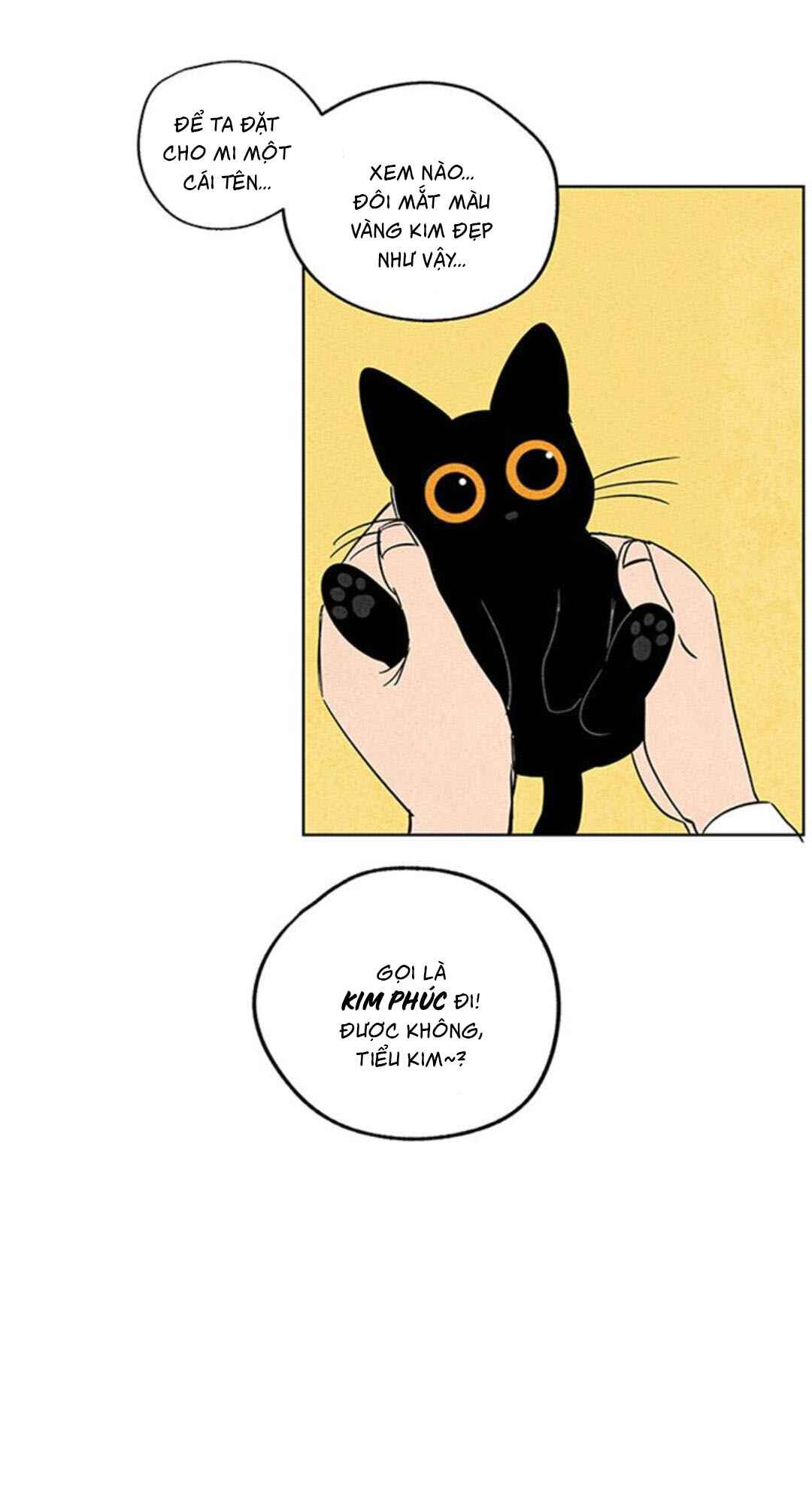The Tale of Goldiluck, the Black Kitten Chapter 1 - Page 17