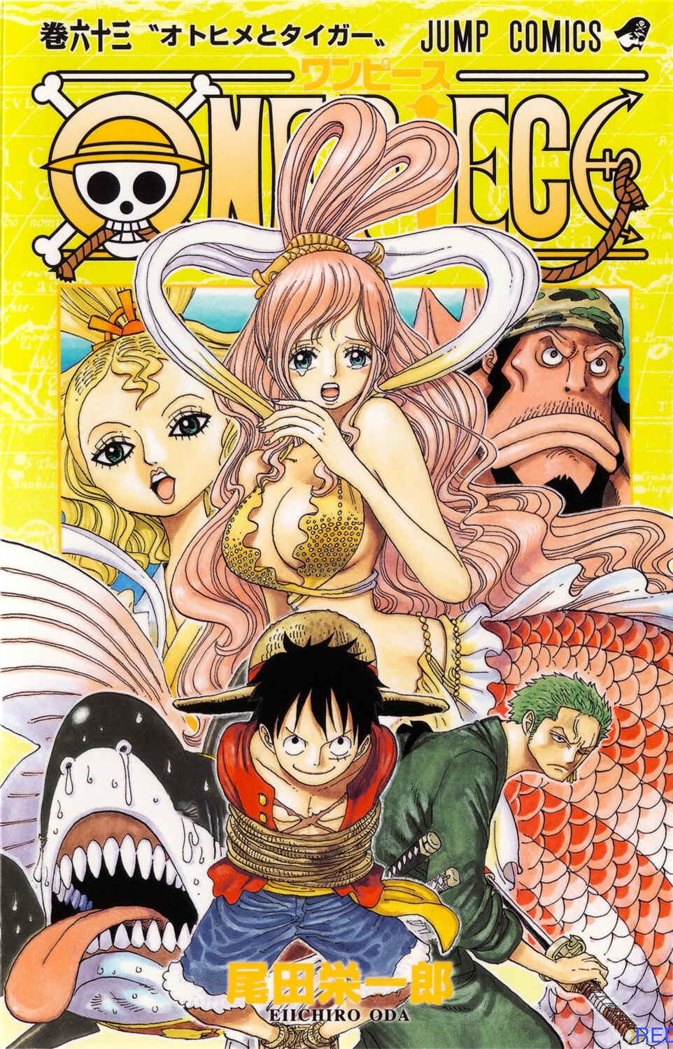 One Piece (Official Colored) Chapter 615 - Page 1