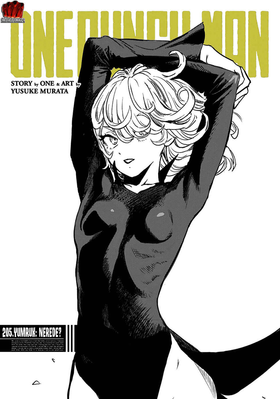 One Punch-Man Chapter 205 - Page 2