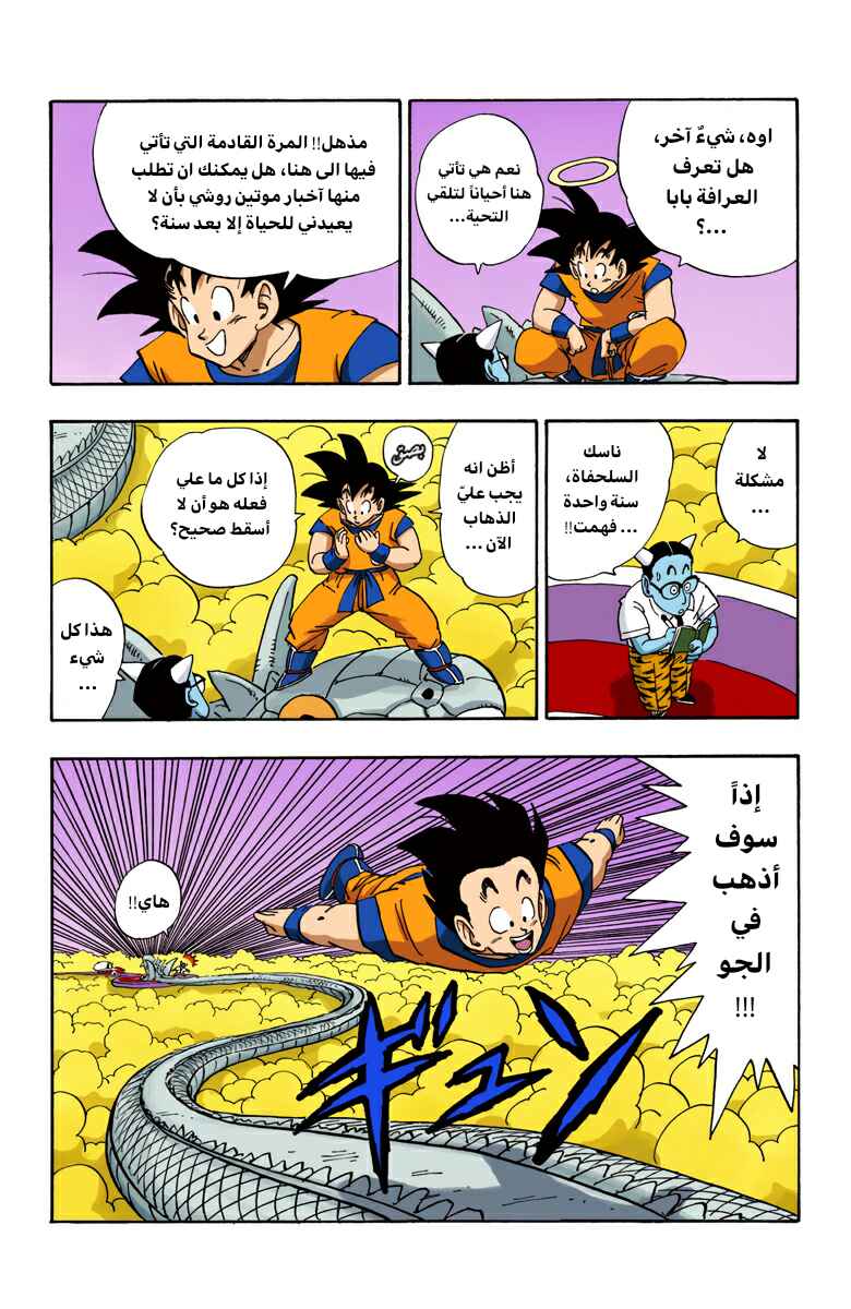 Dragon Ball (Official Colored) Chapter 205 - Page 13