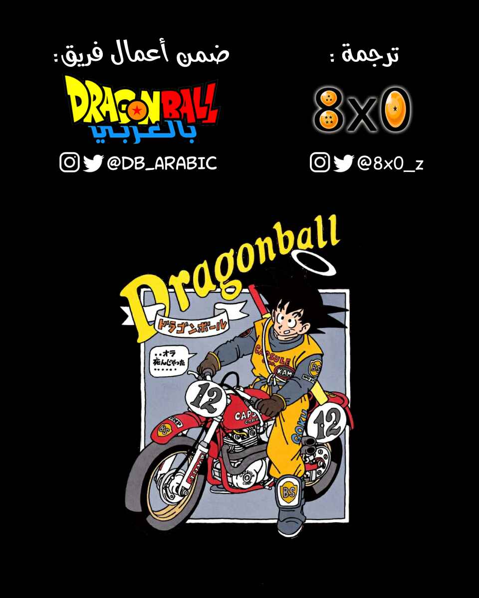 Dragon Ball (Official Colored) Chapter 205 - Page 15