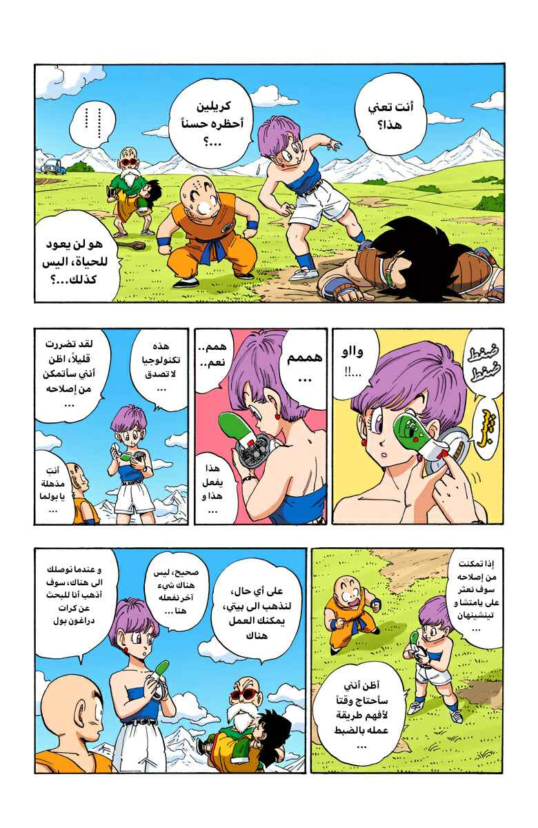 Dragon Ball (Official Colored) Chapter 205 - Page 2