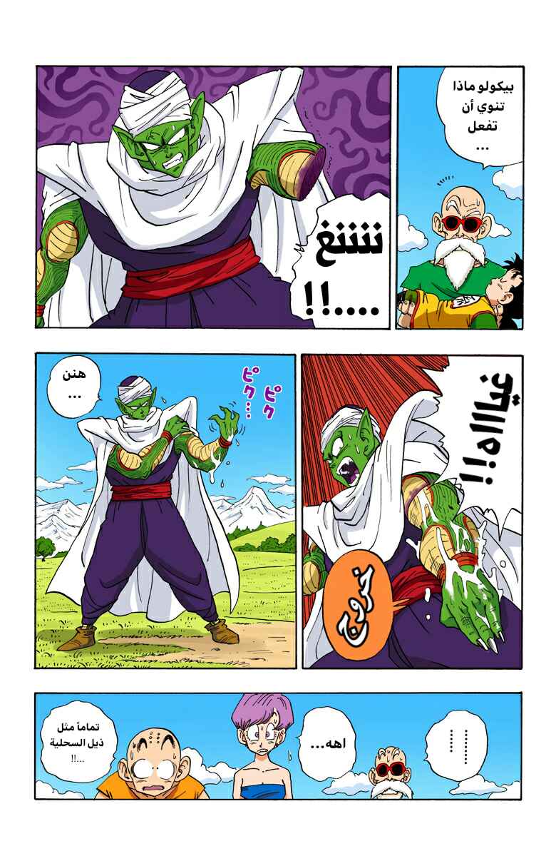 Dragon Ball (Official Colored) Chapter 205 - Page 3