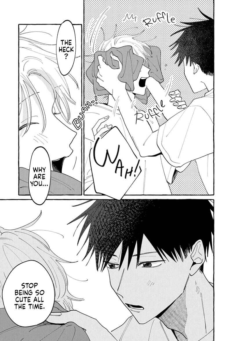 Kimi to Nara Koi o Shite Mite mo Chapter 13 - Page 21