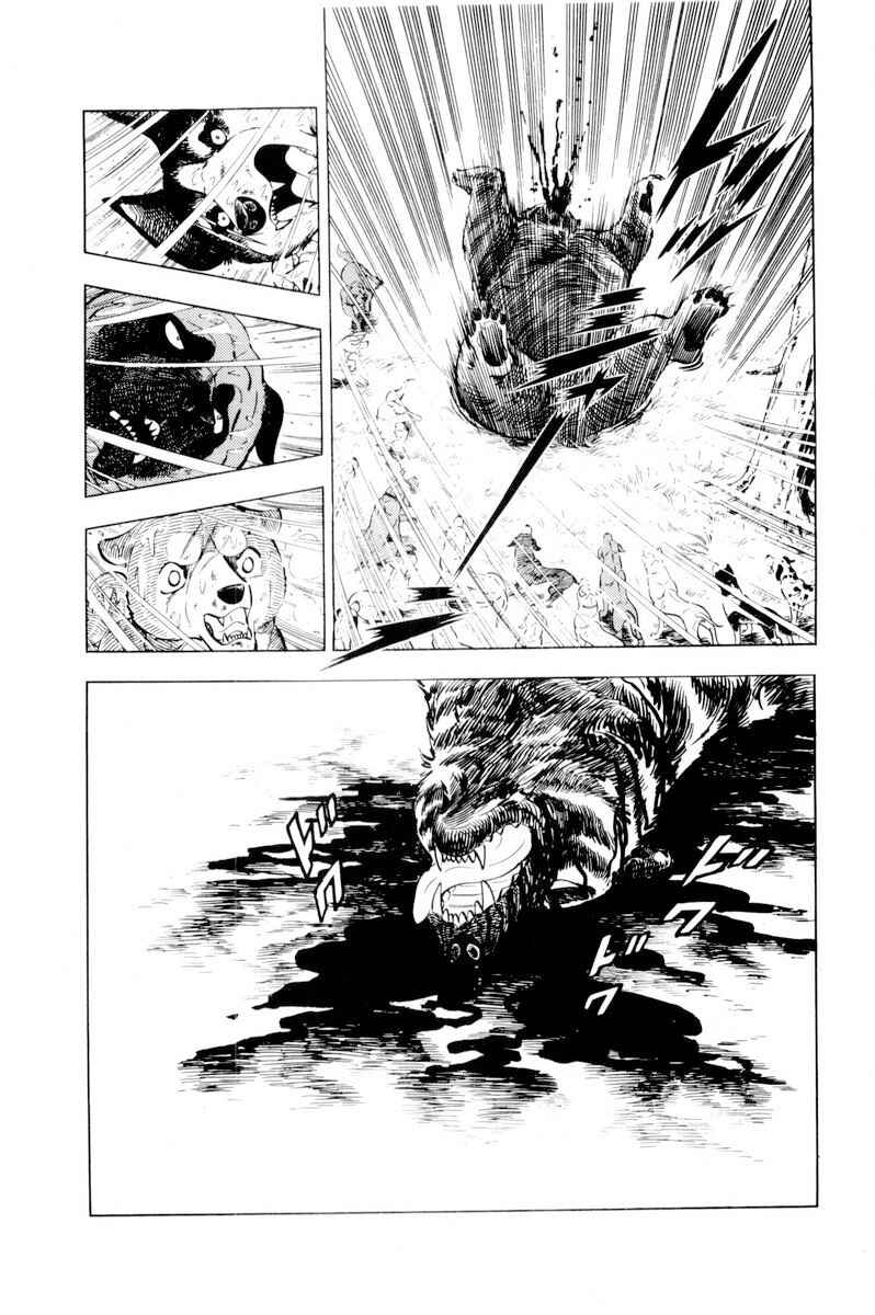 Silver Fang – The Shooting Star Gin – Chapter 38 - Page 27