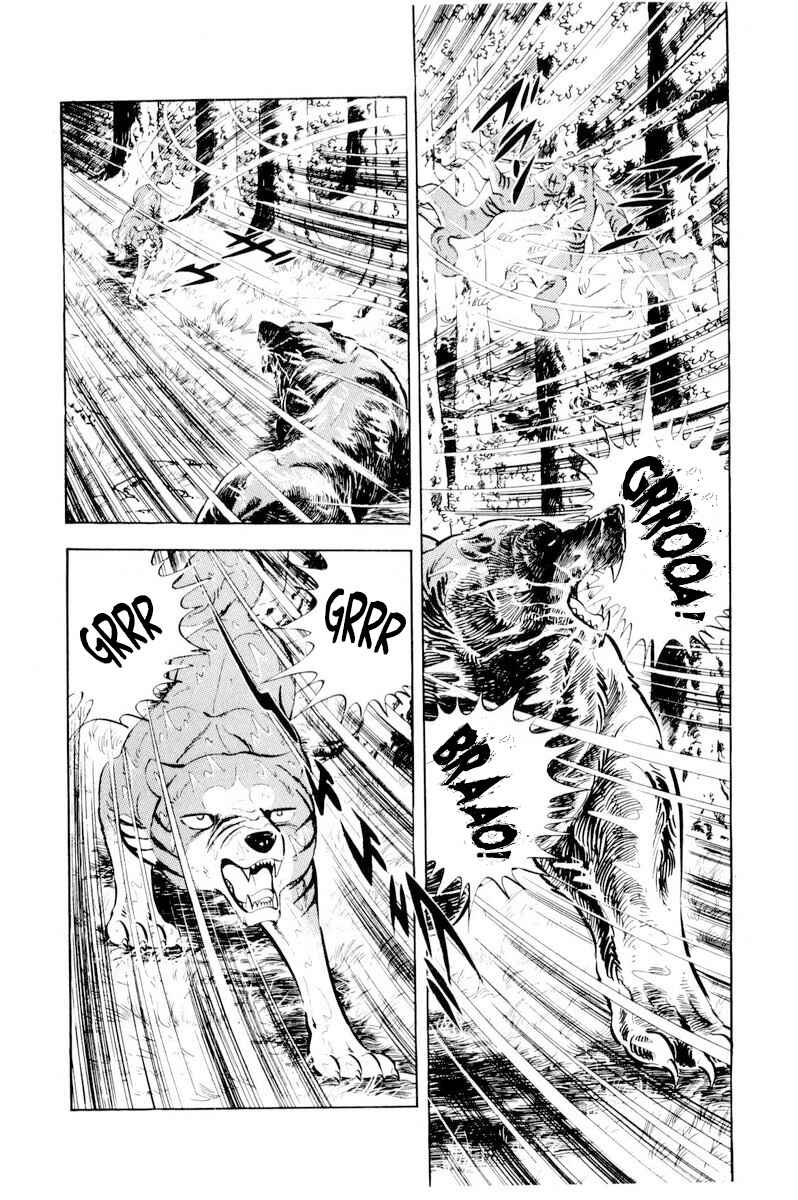 Silver Fang – The Shooting Star Gin – Chapter 38 - Page 41