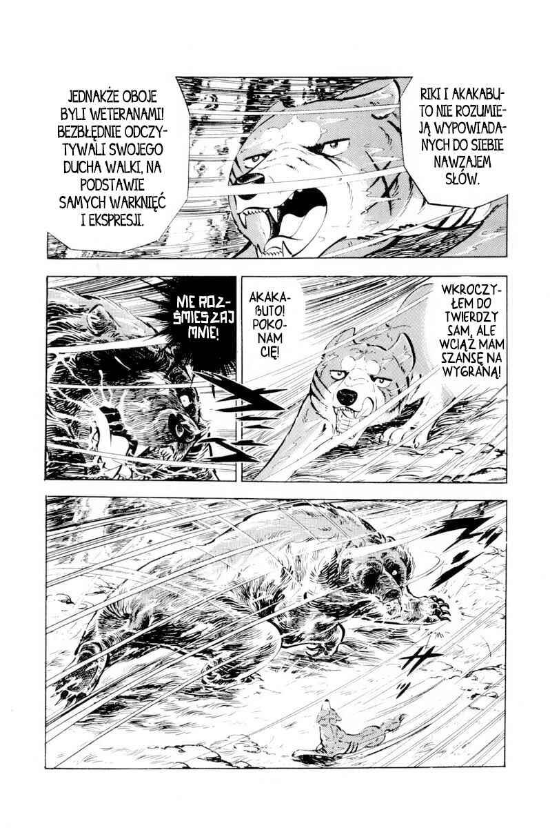 Silver Fang – The Shooting Star Gin – Chapter 38 - Page 43