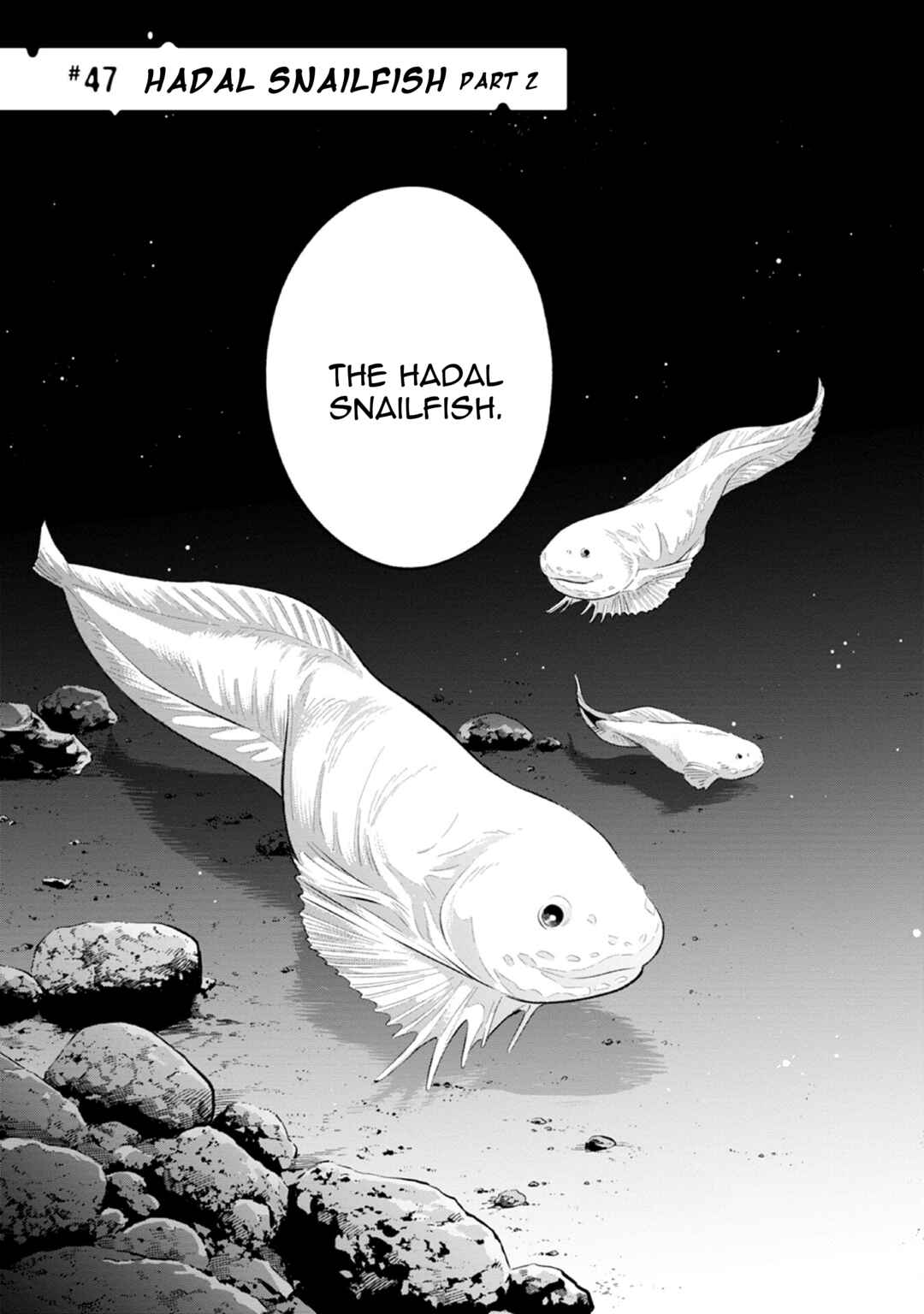 Magmell Shinkai Suizokukan Chapter 47 - Page 3