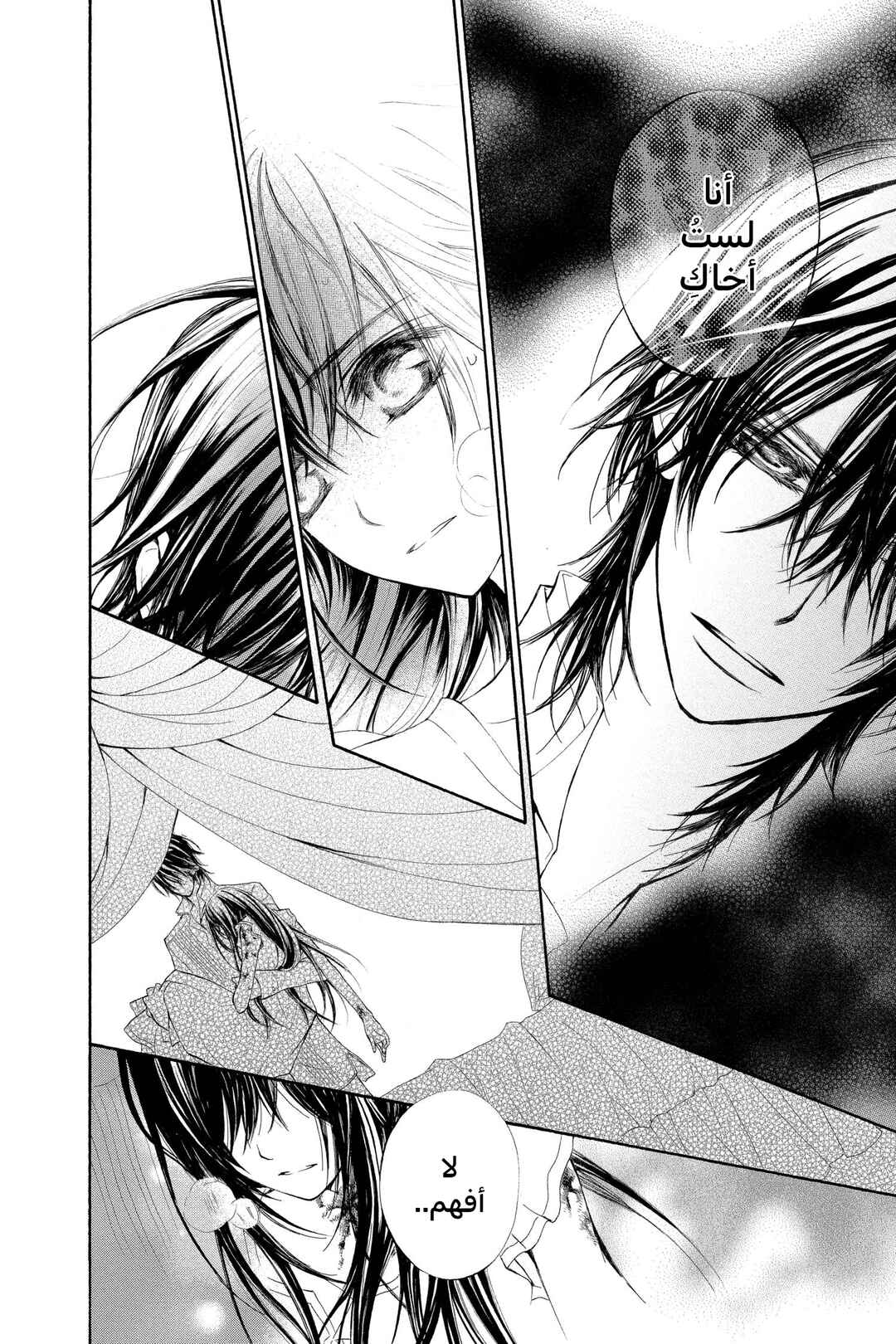 Vampire Knight Chapter 61 - Page 14