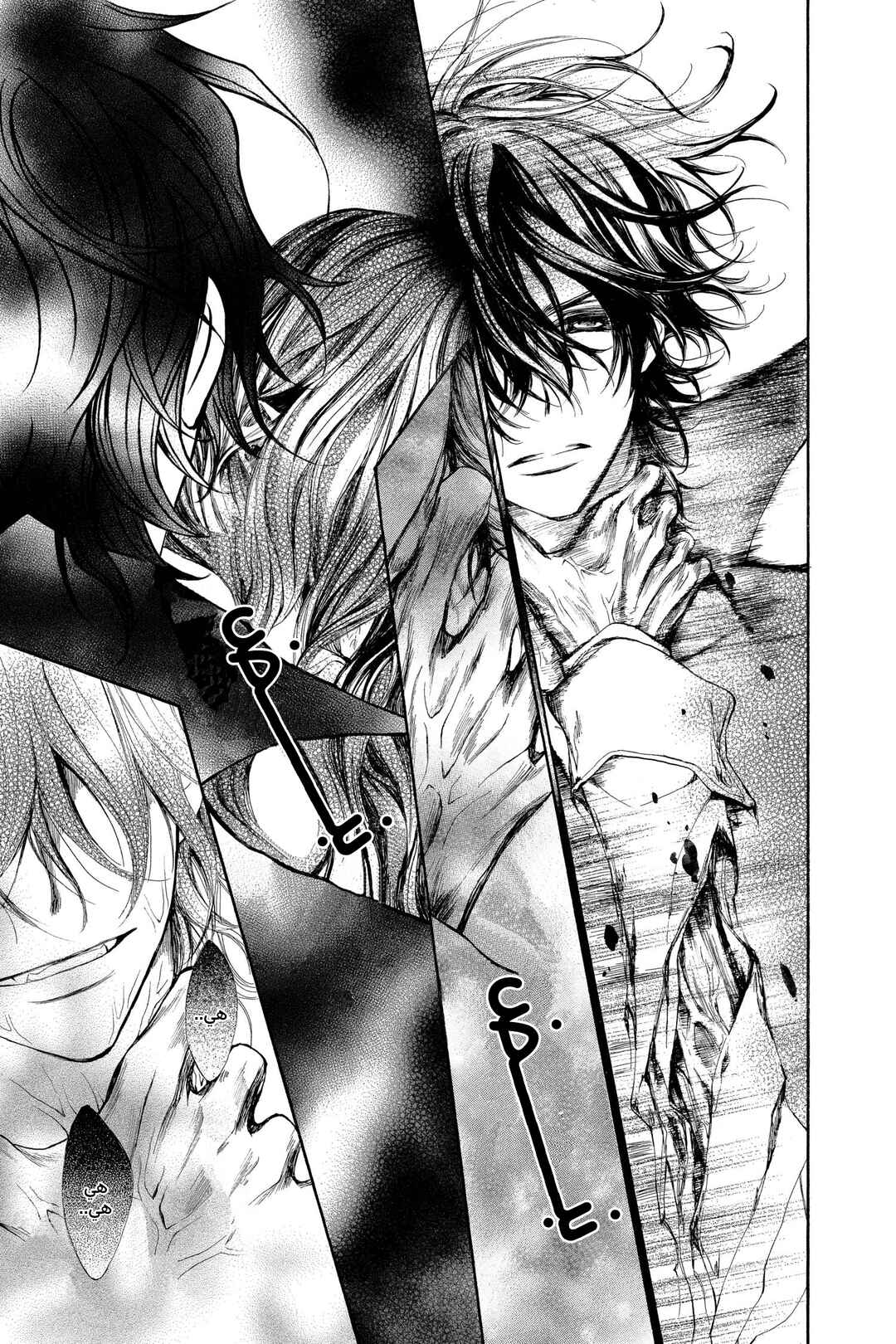 Vampire Knight Chapter 61 - Page 27