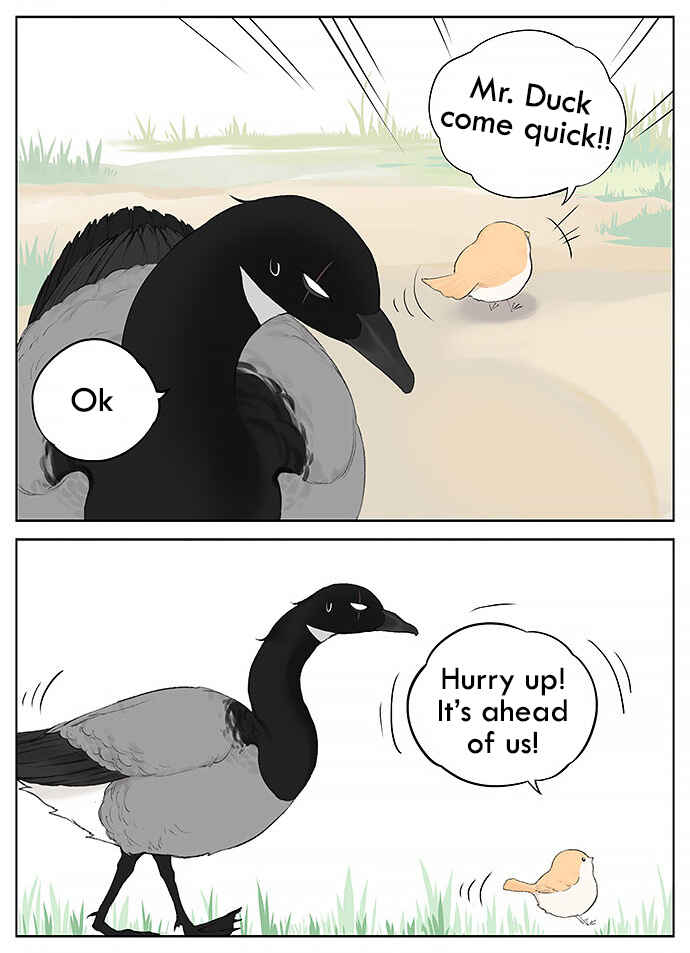 Southern Bird and Northern Bird Chapter 36 - Page 3