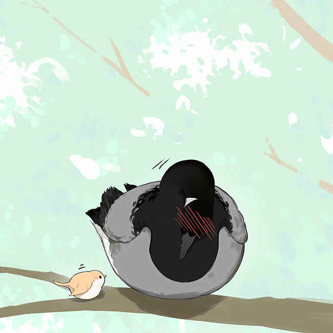 Southern Bird and Northern Bird Chapter 35 - Page 10