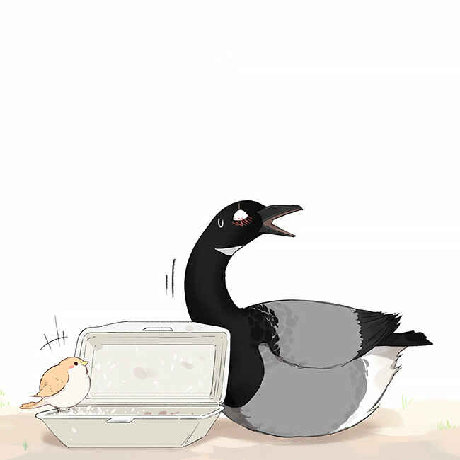 Southern Bird and Northern Bird Chapter 35 - Page 13
