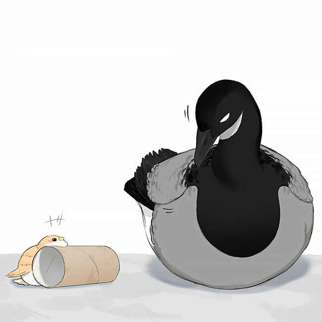 Southern Bird and Northern Bird Chapter 35 - Page 17