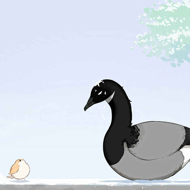 Southern Bird and Northern Bird Chapter 35 - Page 18