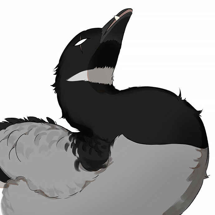 Southern Bird and Northern Bird Chapter 35 - Page 23