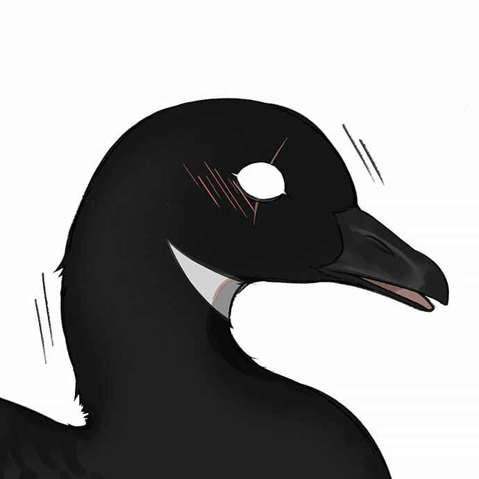 Southern Bird and Northern Bird Chapter 35 - Page 27