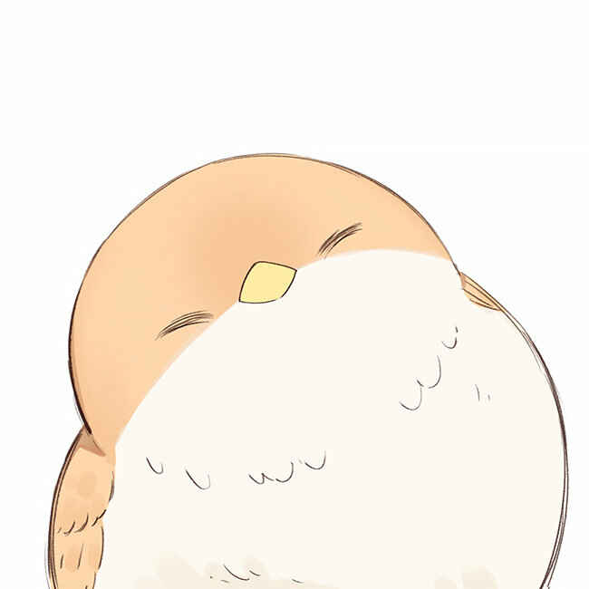 Southern Bird and Northern Bird Chapter 35 - Page 39
