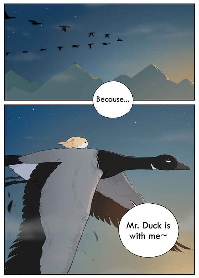 Southern Bird and Northern Bird Chapter 35 - Page 5