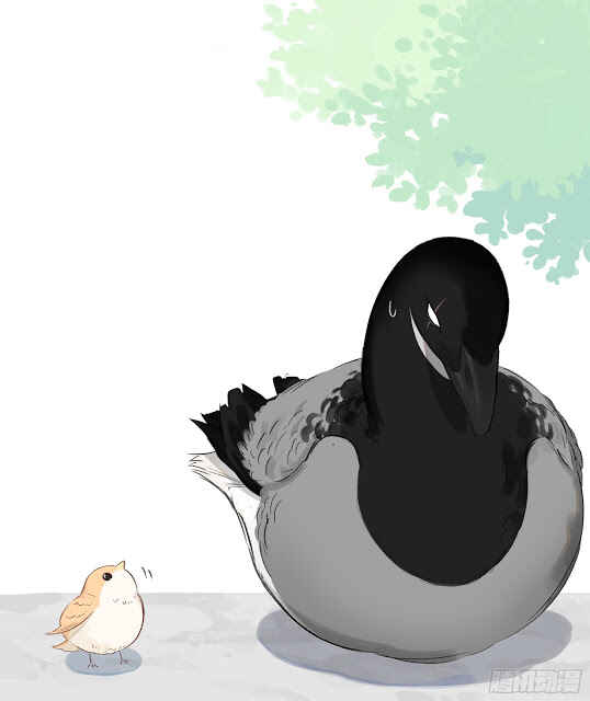 Southern Bird and Northern Bird Chapter 35 - Page 9