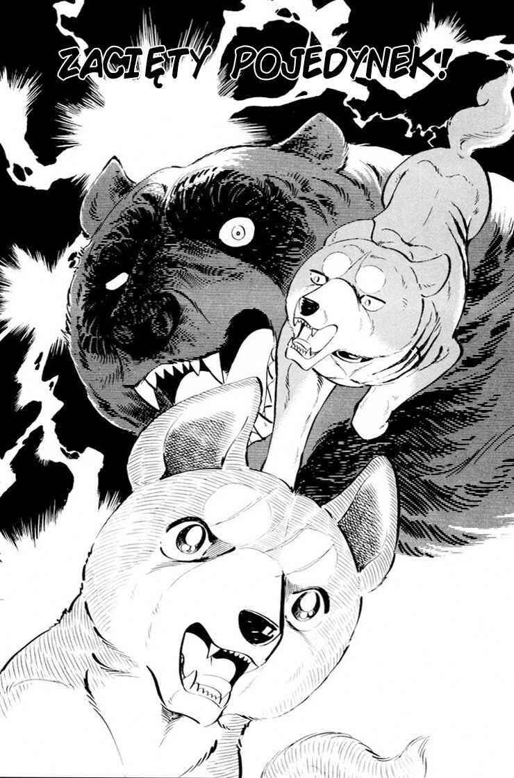Silver Fang – The Shooting Star Gin – Chapter 29 - Page 1