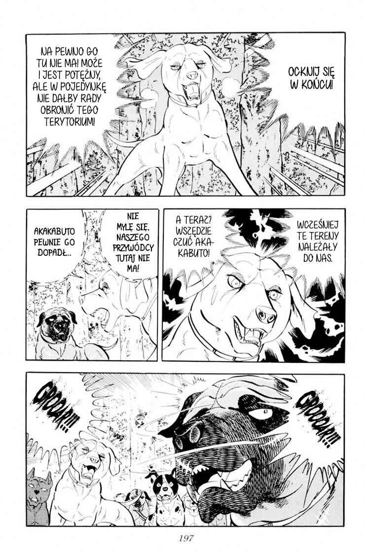 Silver Fang – The Shooting Star Gin – Chapter 29 - Page 11