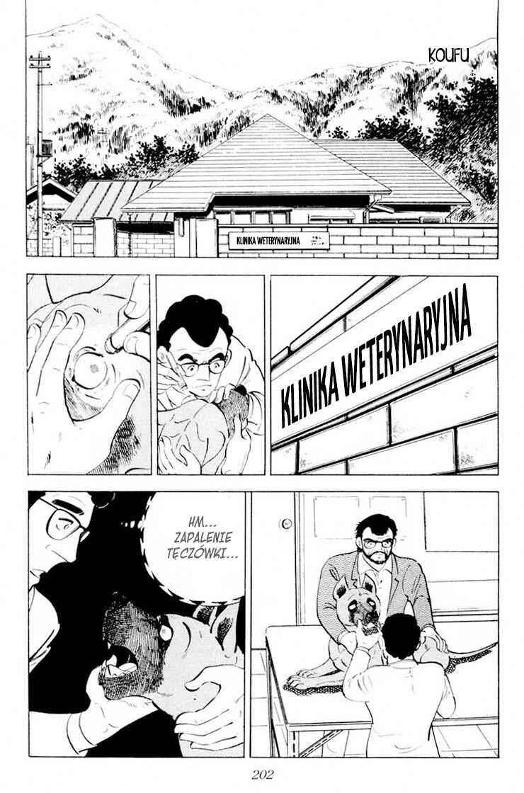 Silver Fang – The Shooting Star Gin – Chapter 29 - Page 16