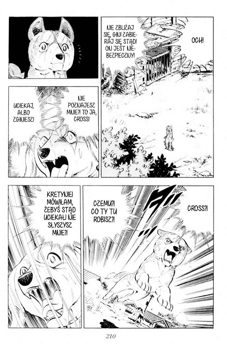 Silver Fang – The Shooting Star Gin – Chapter 29 - Page 24