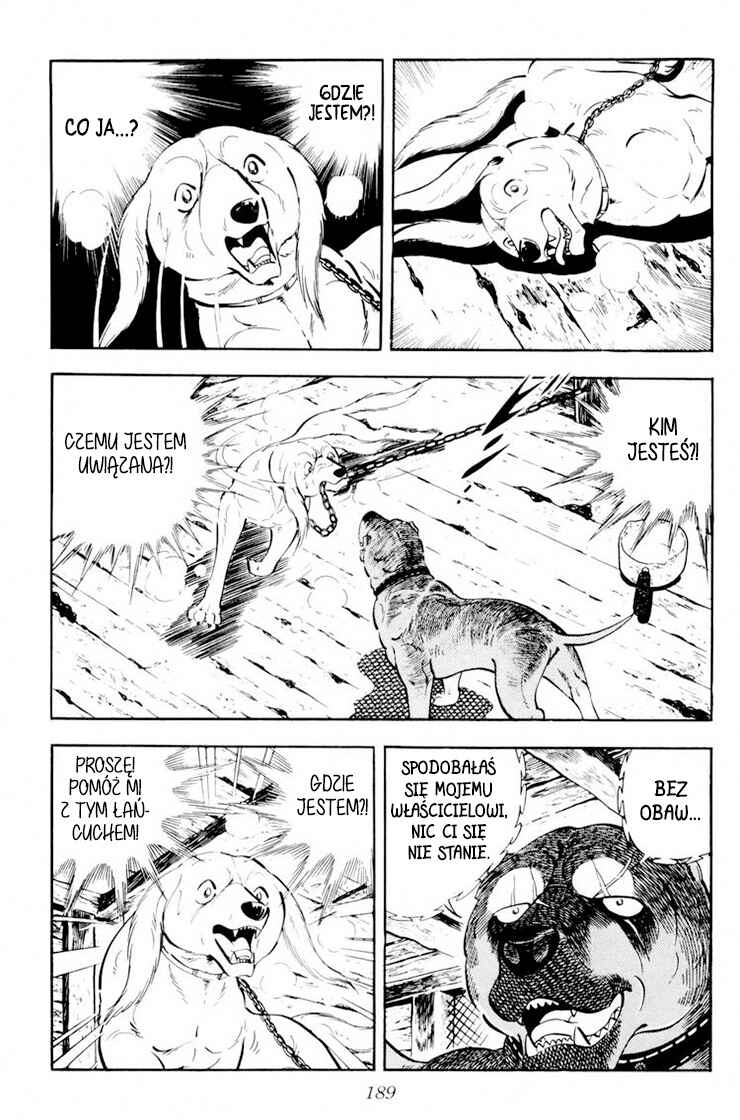 Silver Fang – The Shooting Star Gin – Chapter 29 - Page 3