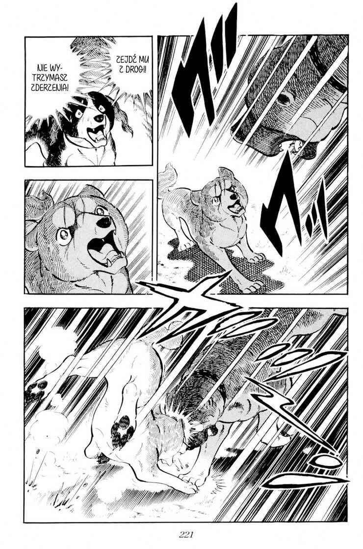 Silver Fang – The Shooting Star Gin – Chapter 29 - Page 35