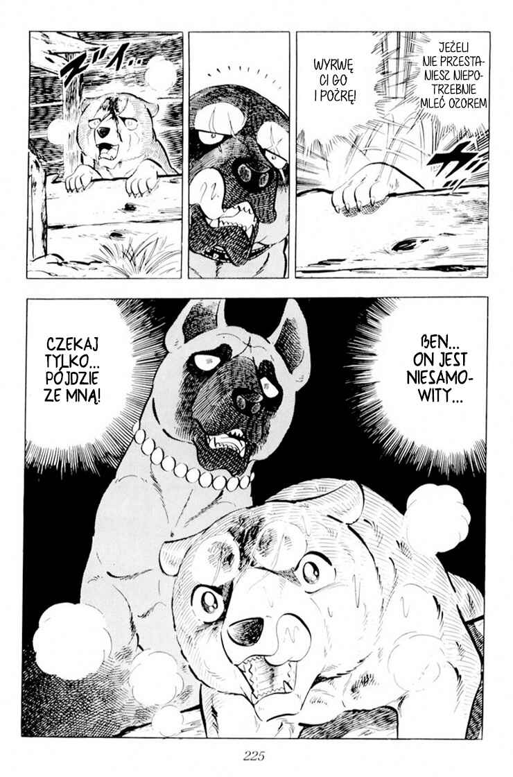 Silver Fang – The Shooting Star Gin – Chapter 29 - Page 39