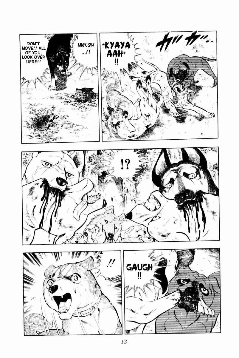 Silver Fang – The Shooting Star Gin – Chapter 26 - Page 13