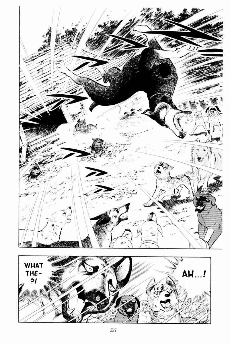 Silver Fang – The Shooting Star Gin – Chapter 26 - Page 26