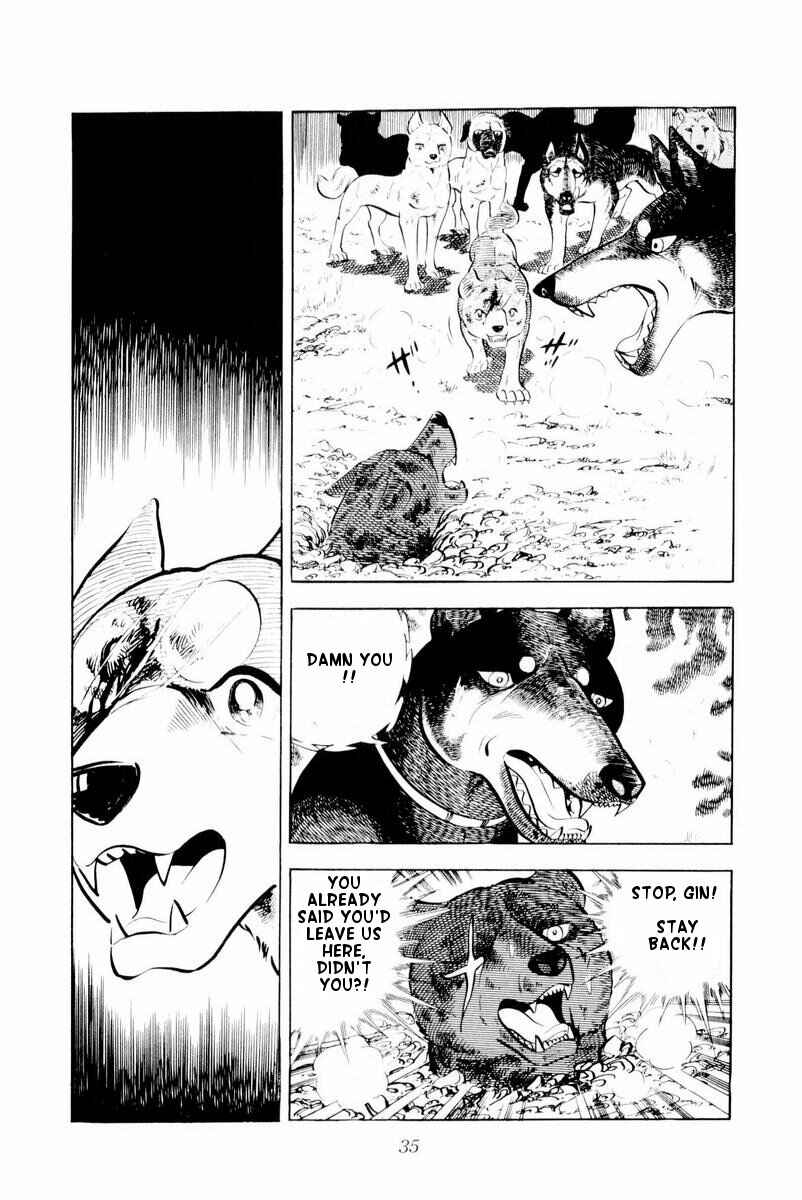 Silver Fang – The Shooting Star Gin – Chapter 26 - Page 35