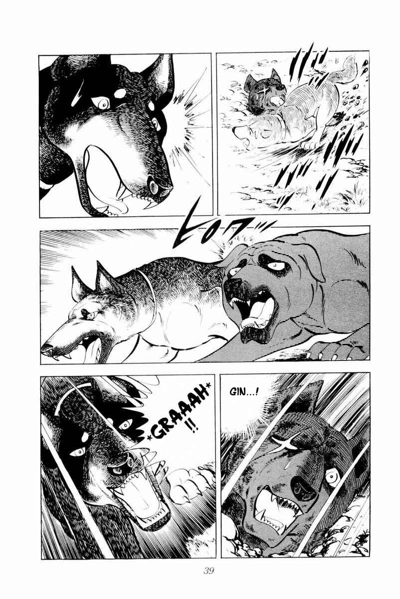 Silver Fang – The Shooting Star Gin – Chapter 26 - Page 39