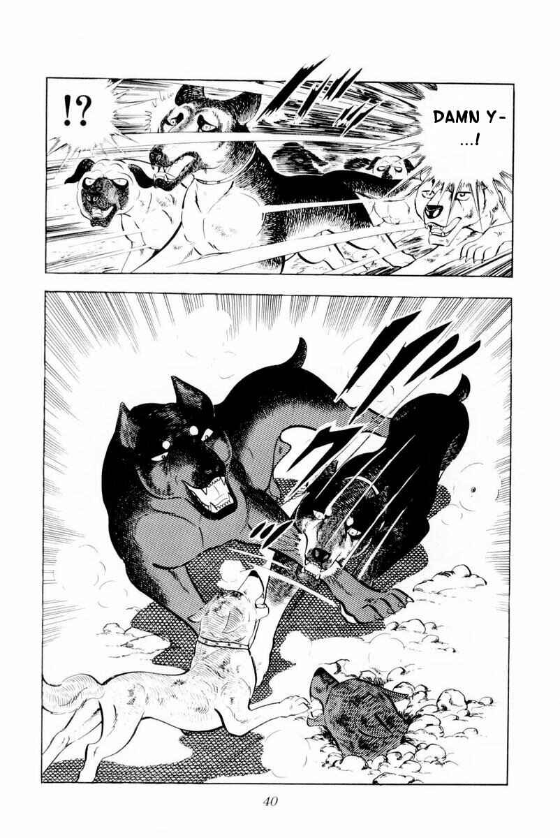 Silver Fang – The Shooting Star Gin – Chapter 26 - Page 40
