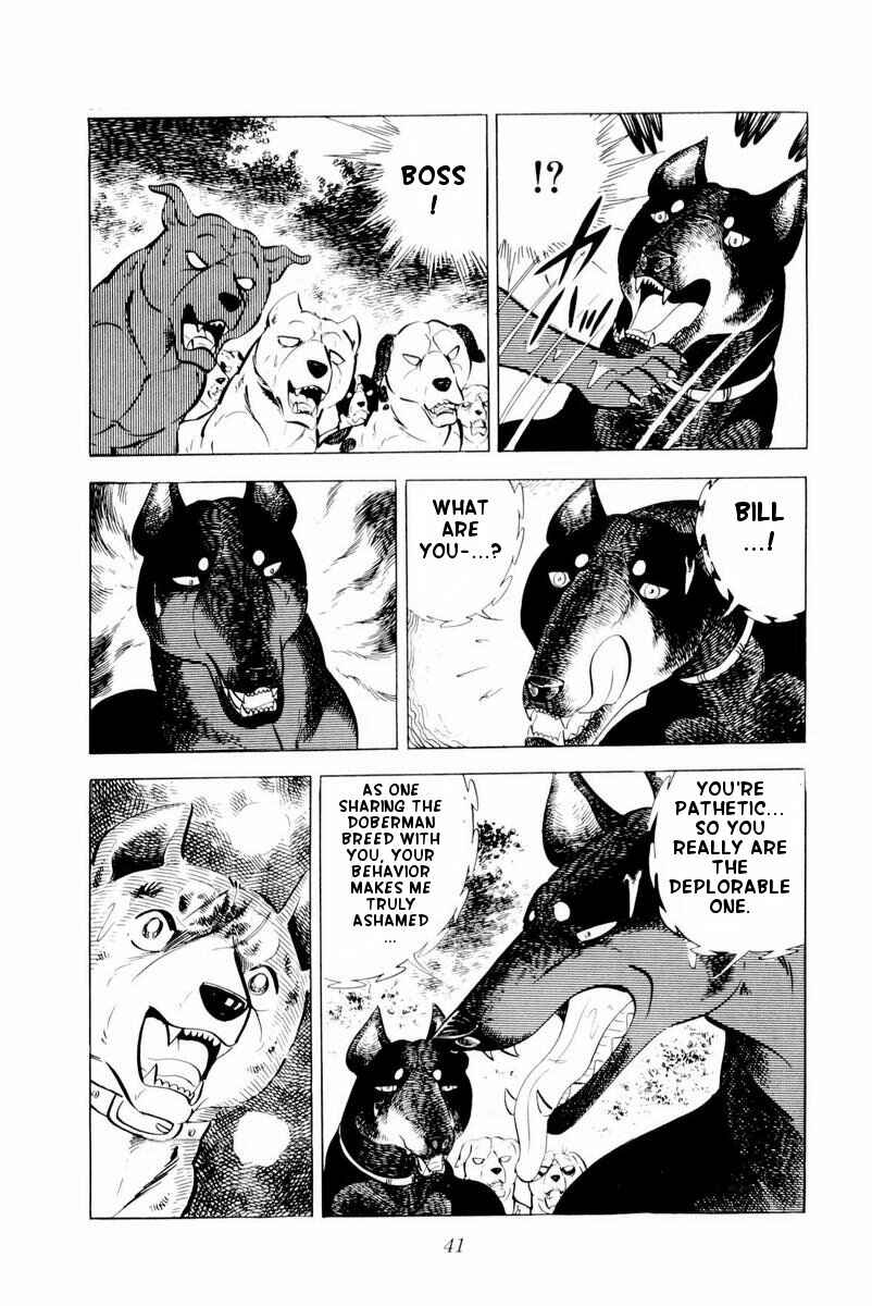 Silver Fang – The Shooting Star Gin – Chapter 26 - Page 41