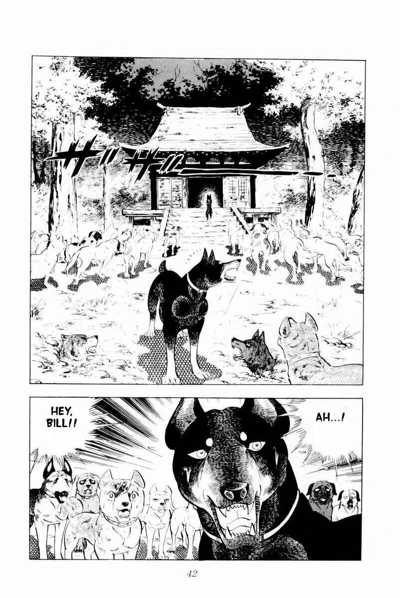 Silver Fang – The Shooting Star Gin – Chapter 26 - Page 42