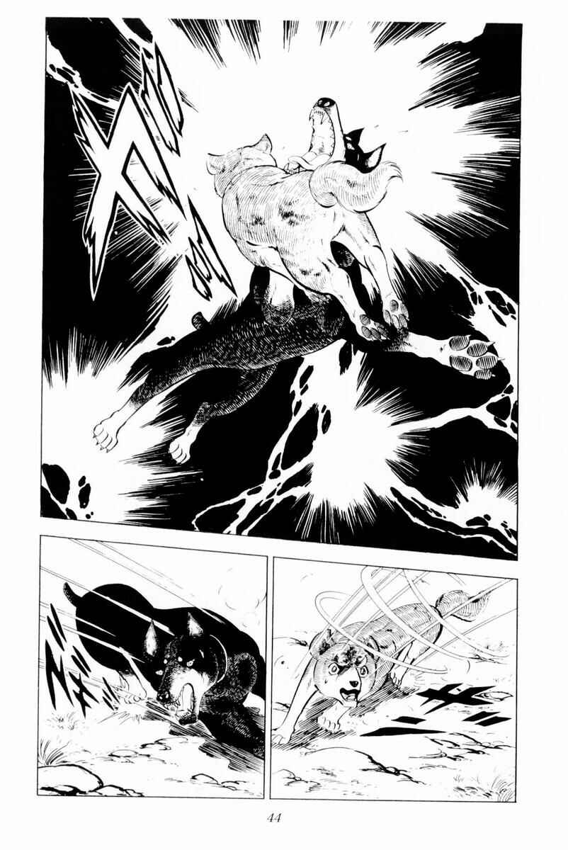Silver Fang – The Shooting Star Gin – Chapter 26 - Page 44