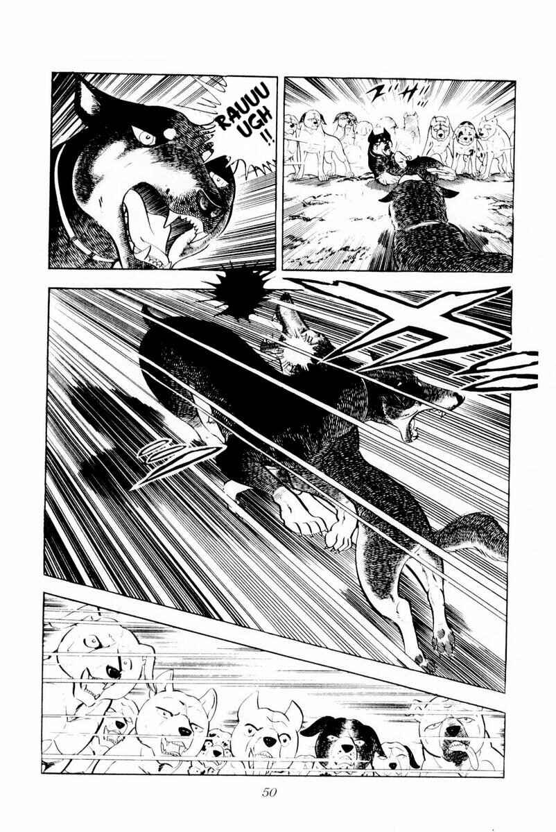 Silver Fang – The Shooting Star Gin – Chapter 26 - Page 50